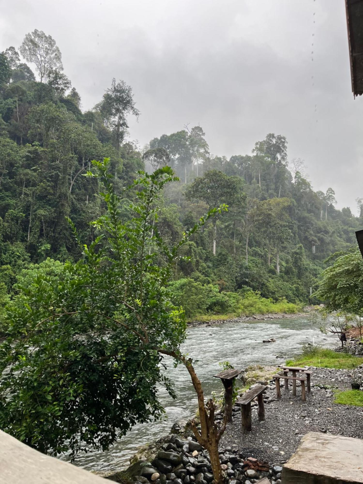 Ridho'S Homestay & Jungle Trekking Bukit Lawang Luaran gambar