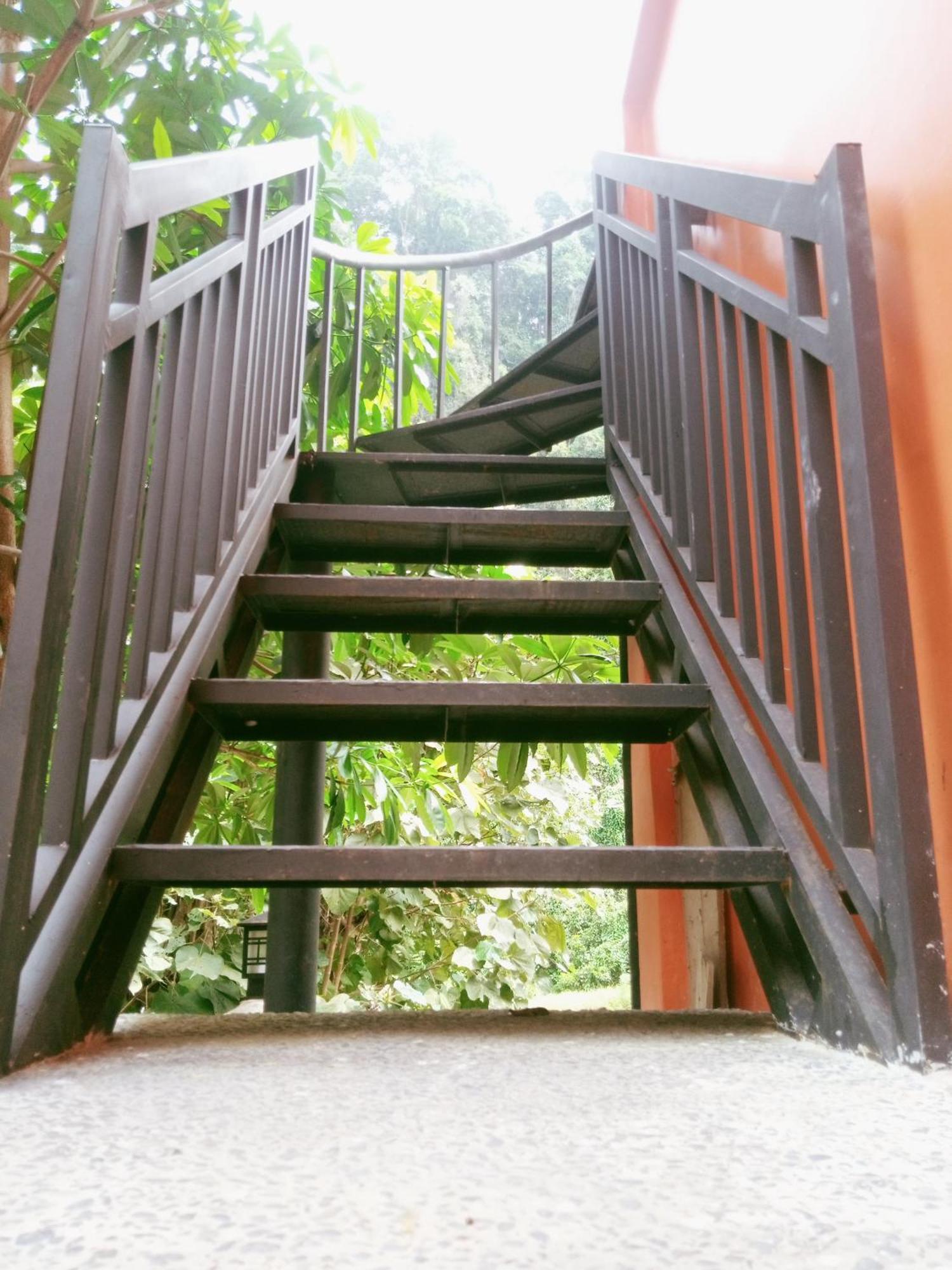 Ridho'S Homestay & Jungle Trekking Bukit Lawang Luaran gambar