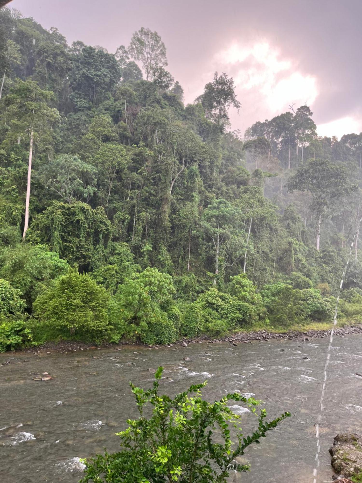 Ridho'S Homestay & Jungle Trekking Bukit Lawang Luaran gambar