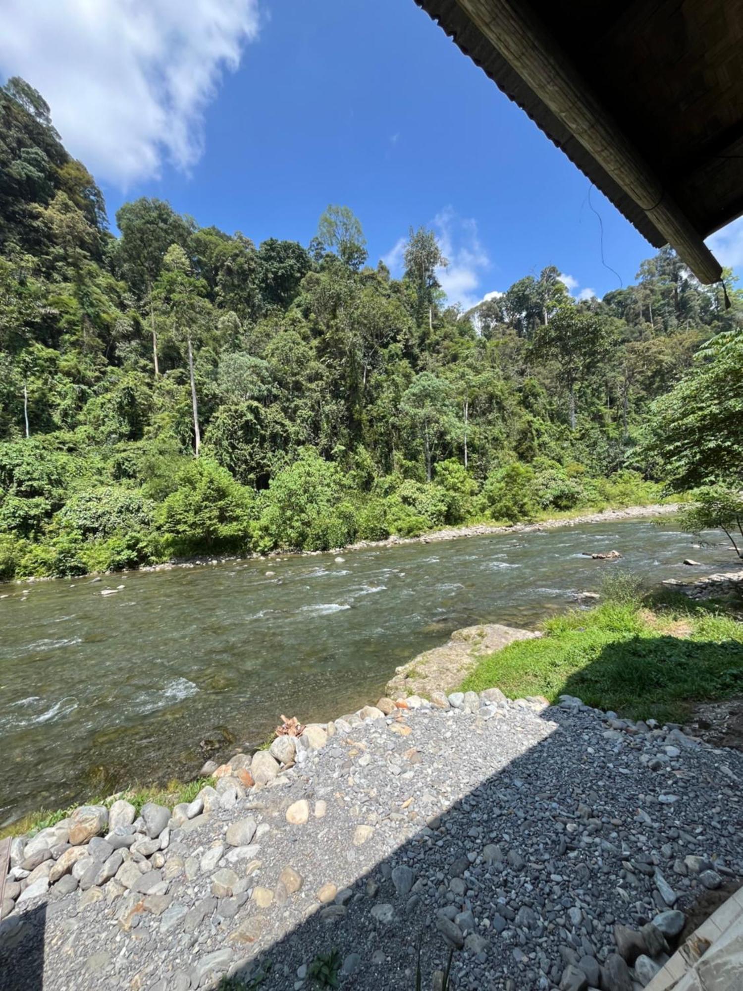 Ridho'S Homestay & Jungle Trekking Bukit Lawang Luaran gambar