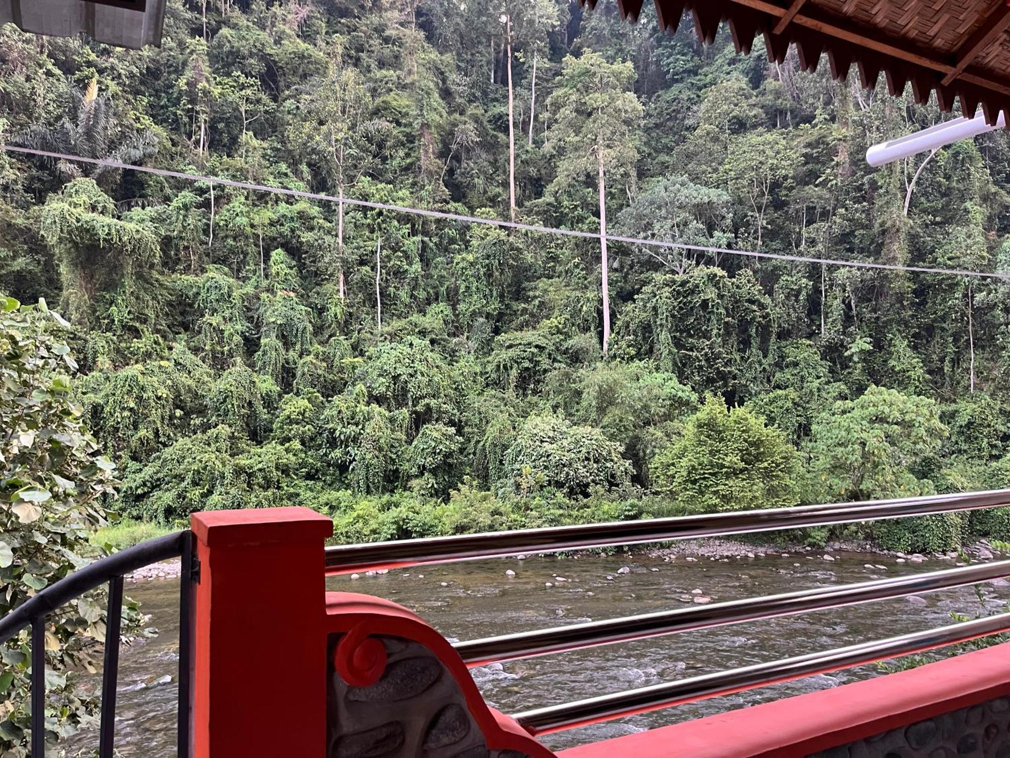 Ridho'S Homestay & Jungle Trekking Bukit Lawang Luaran gambar