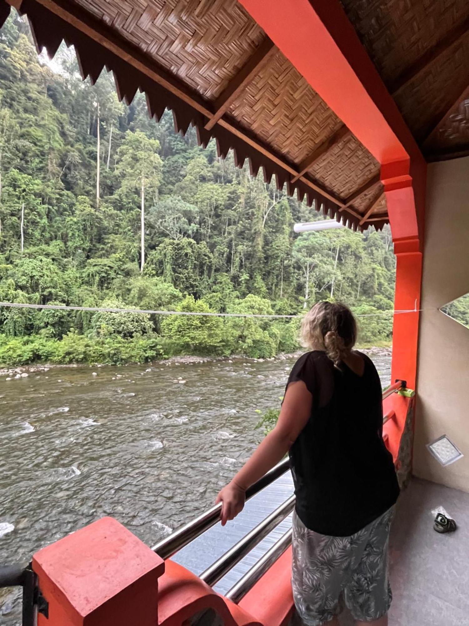 Ridho'S Homestay & Jungle Trekking Bukit Lawang Bilik gambar